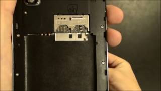 SKY Platinum 5.5-Introducing the SIM Card screenshot 3