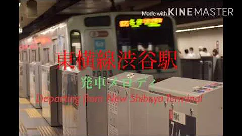 東横線 渋谷駅 向谷実 東横線 渋谷駅 向谷実