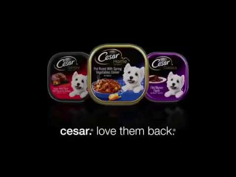 cesar dog food commercial 2018 music