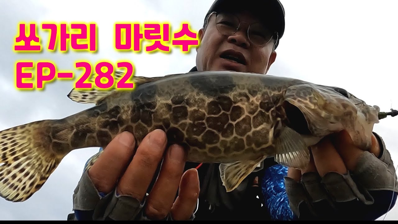 쏘가리 한마리만 잡아도 성공인데 우연히 진입한 장소에서 마릿수 한 날  EP-282