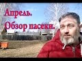 Пчеловодство.Обзор Апрель 2016г.