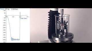 Mucoadhesion Rig | Measure bioadhesion to mucosae using a Texture Analyser Ttc Spreadability Rig Measure Semi Solid Spreadability Using A Texture Analyser