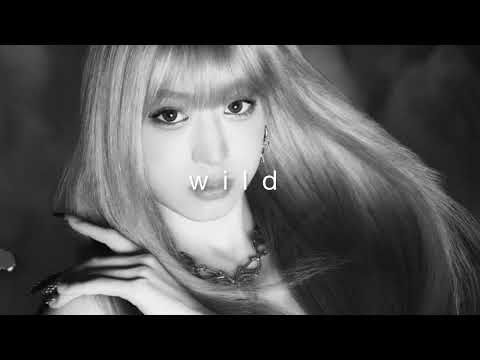 Babymonster Wild Slowed Reverb 