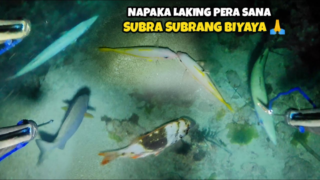 EP 431: NAPAKA LAKING PERA SANA SUBRA SUBRANG BIYAYA 🙏 MAY DUMAAN NA BANGKA HIGIT 1OOkg KINARGA KO