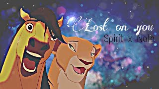 Animash | Spirit ✘ Nala | Lost On You