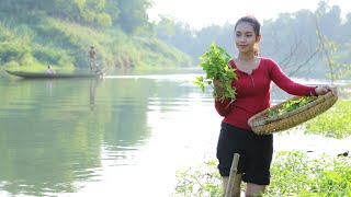 Harvest water convolvulus for food - Polin lifestyle