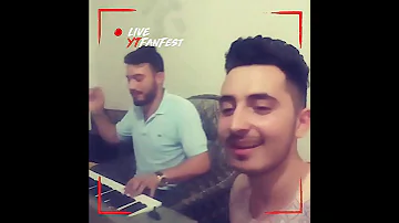 ياولفي لالا 