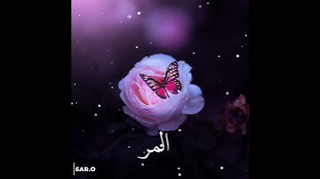 سورة الرعد القارئ سعد الغامدي - تلاوة هادئة حالات واتس