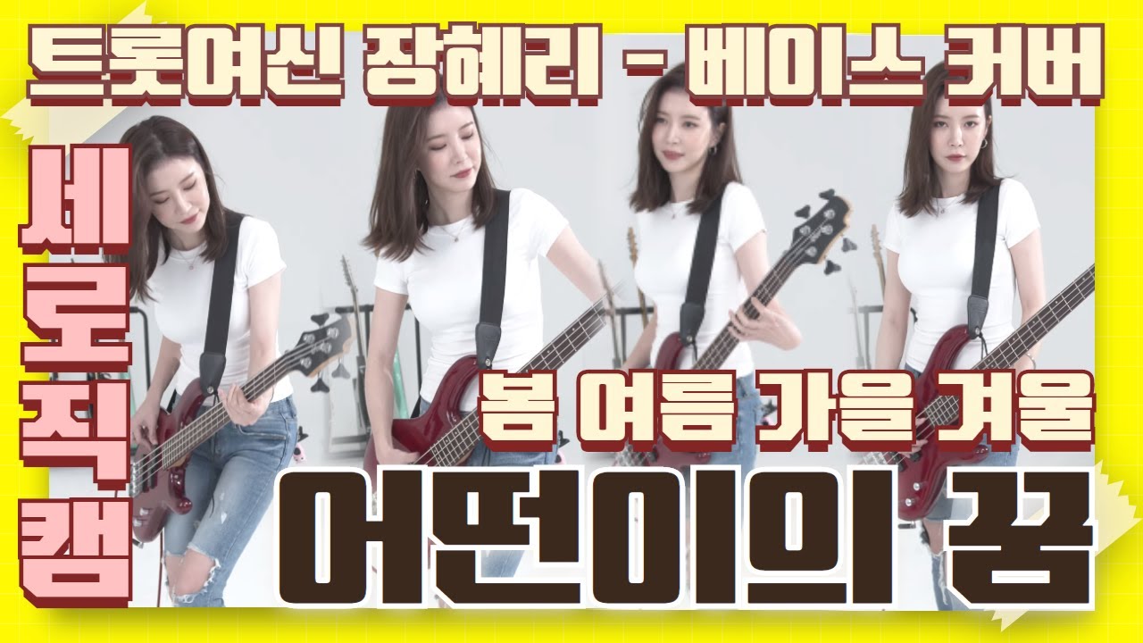 [베이스커버] 어떤이의 꿈 (cover by 장혜리) / (세로직캠버전)