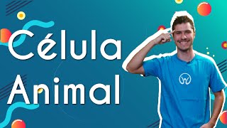 Animal Cell - Brazil School