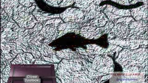 Oil   Gas Mud Logging   Testing