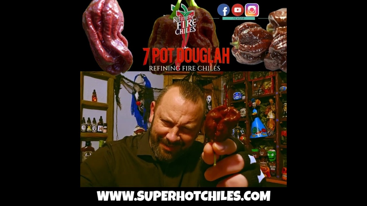 7 POT DOUGLAH PEPPER BY WWW.SUPERHOTCHILES.COM
