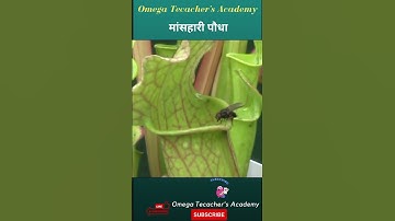 बाल विकास | ctet preparation | CTET 2022 || #ctet #ctet2022 #short #ctetcdp #shorts #shortvideo #cdp