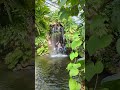 Inside the Tropical Waterfall Cave on Mainau Island