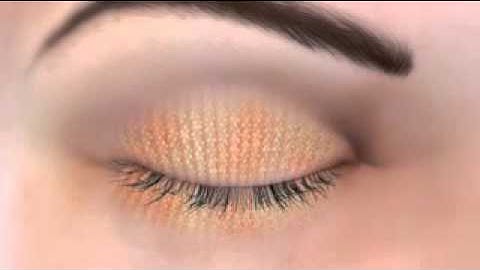 Dry Eye Animation