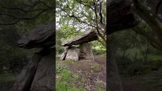 Gaulstown dolmen Waterford Ireland #megalithic #ireland #neolithic #pagan #nature #history #celtic
