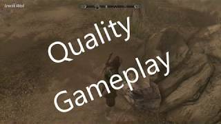 Skyrim execution