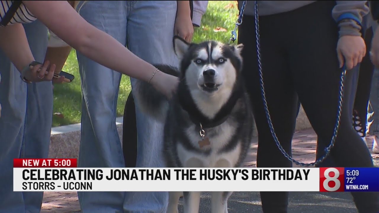 UConn mascot Jonathan the husky celebrates 12th birthday