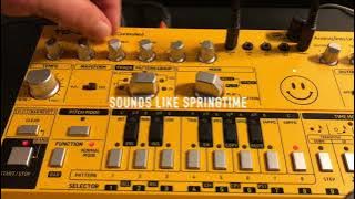 BEHRINGER TD-3 ESSENTIAL MODS