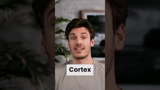 Crash Of The Titans Crash Bandicoots Wild Mutant Adventure trending games shorts crash