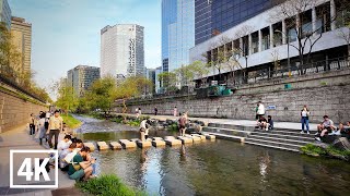 Walking tour in Cheonggyecheon, Seoul. Spring has come🌿 l 4K HDR