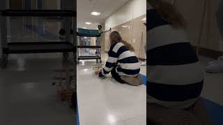 Projectile Motion Project