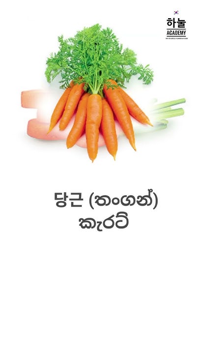 learn-korean-words-with-sinhala-meaning