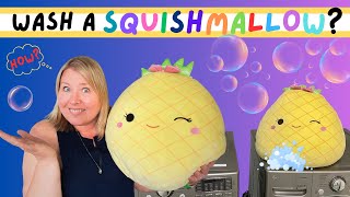 💧Squishmallow in the Washing Machine: Will It Survive?