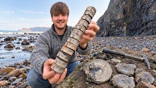 We Found Ichthyosaur Bones & Perfect Ammonites on This Beach!