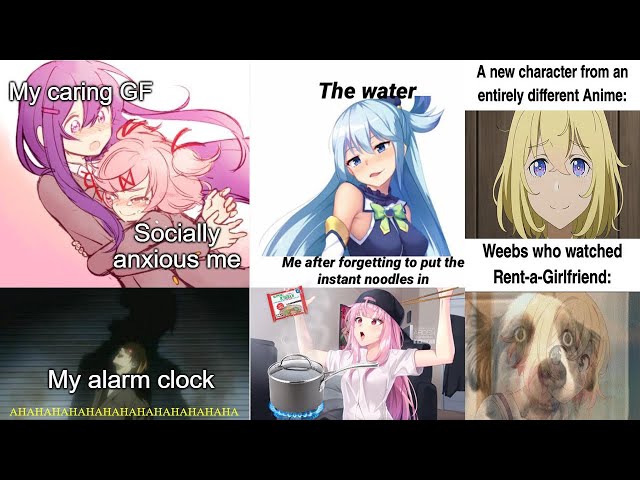 The best Anime Girl memes :) Memedroid