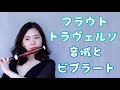 【昔のフルート？】フラウト・トラヴェルソの音域とビブラート
