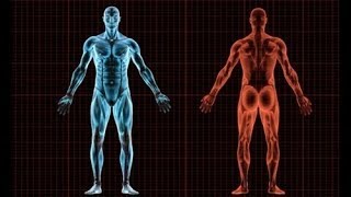 En Fazla ve En Hızlı Ne Kadar Koşabiliriz?