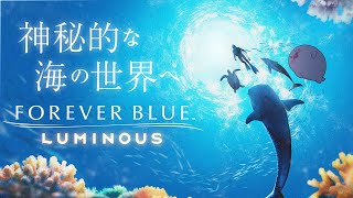 アザラシとゆく海洋探検の世界【 フォーエバーブルー ルミナス 】