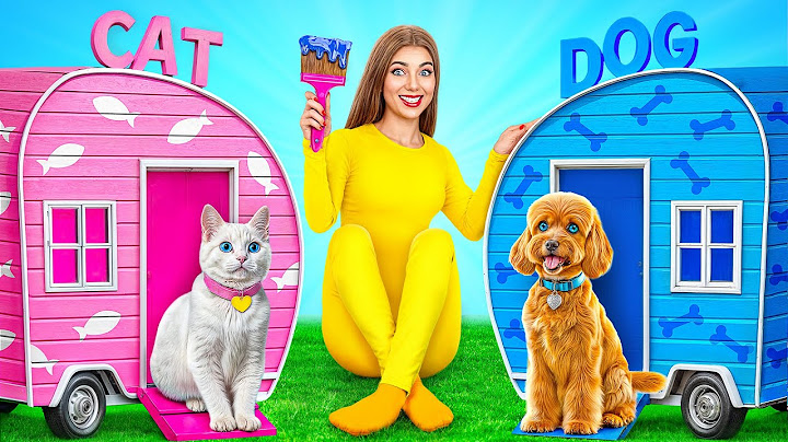 We Built a House For Pets | Funny Situations by Multi DO Smile