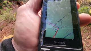 Discover the Hidden Giant: A GPS Adventure in Mount Hood National Forest