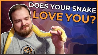 Are Ball Pythons Capable of Feeling Love?