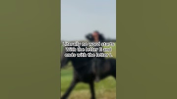 Literally no word starts with the letter E and ends with L