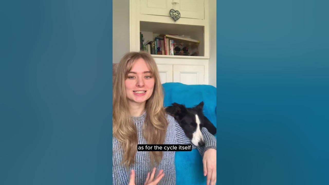 How Often Do Dogs Come into Season? shorts YouTube