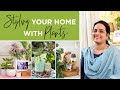 Styling your home with plants  classy decor ideas to style your home  plant decor ideas