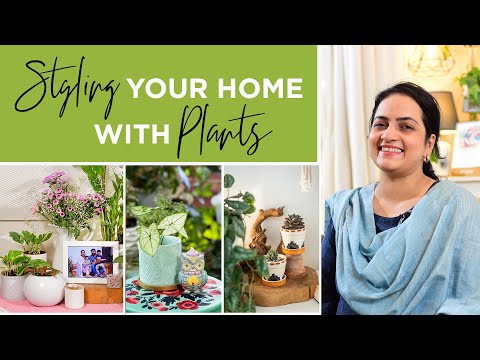Video: Styling your home with plants | Classy decor ideas to style your home | Plant decor ideas