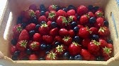 Tarte Cagette De Fruits Youtube Tarte Cagette De Fruits Youtube