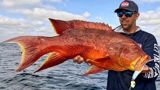 Giant Trout Jigging Ningaloo Reef with soft plastics