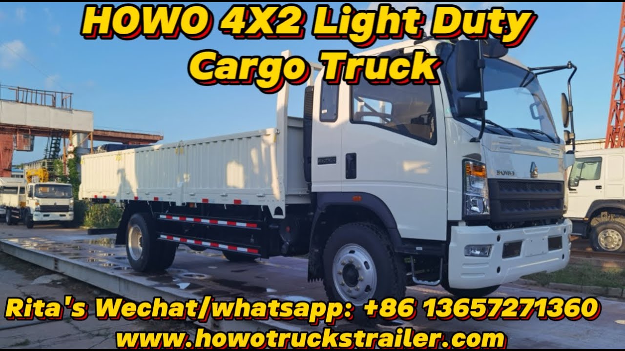 HOWO 4X2 Cargo Truck