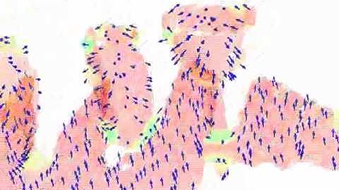 GFPFH classification example