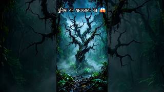 This Tree Can Kill You 😱 | खतरनाक पेड़