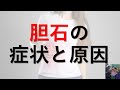 【医師が解説】胆石の症状、痛みの原因と治療法｜自然には治りません