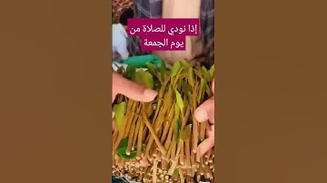 تحريم البيع وقت #صلاة_الجمعة #الشيخ ــ سعد #الغامدي #سورةــ #الجمعة
