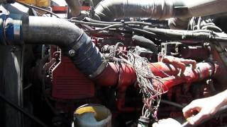 2008 Peterbilt 389 Cummins ISX 771206