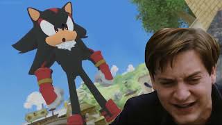 Bully Maguire vs Shadow the hedgehog