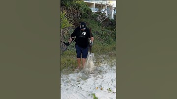 This Is Why They Call Me The Silver King! (Beach Metal Detecting)